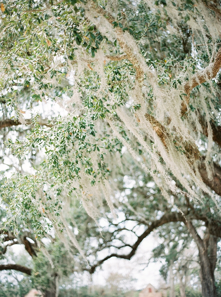Savannah & Charleston Fine Art Film Wedding Photographer | Destination & Elopements Spanish Moss