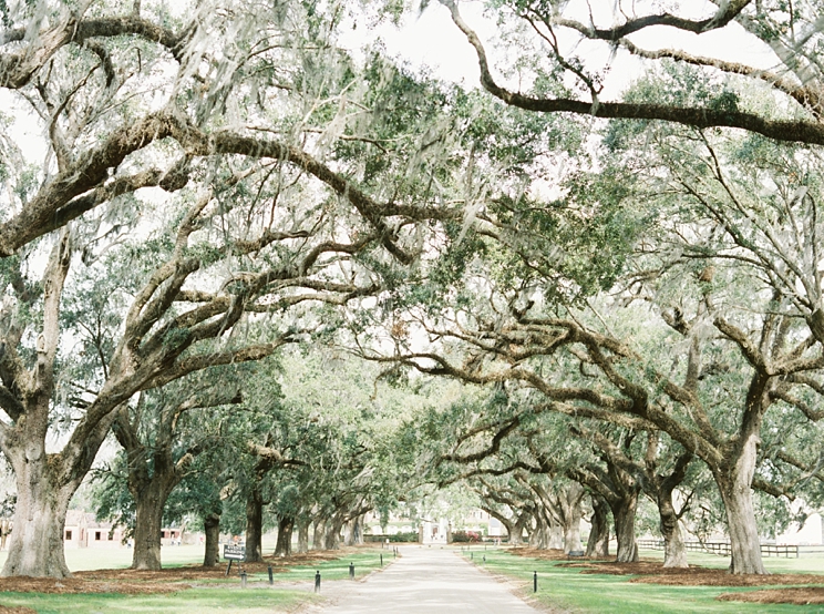 Savannah Charleston Wedding Photographer Destination Hilton Head Boone Hall 0014 Photographs By Caileigh